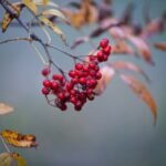 g5e6dc428574e237fc063aab327d5d489d7112dc55c630de7bbb88b302099cb3ae81c9a9b4cbf8d0e1175440794b45e25044a5e354e73a7171f0074ada187e600_1280