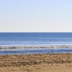 g649394878800029c2ca157f68f476009e71b3b8bcf66730df4f6f7ee9689ad8c5ea206ce7e1058eb9779182873fab944cee9f82c203988435a273de6487e0a91_1280