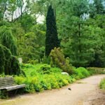 gf31383bc49505d8a69b3679303d3125d9bcd5a5506b5fedfd7a24840dfc2bc8701ed45ad08865ff3c2fae5804eff23be0281983bc0483bf27fb3c6f73ba3f13a_1280