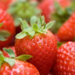 gad9274606128f967d078bd05f5069c9537a7f3c16a4b338c4aad696229c637df98c3ba361609ca4db82f7f8c871861239dc15b64d0366dc0f764f6dd01e10361_1280