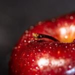 g9e9e5b31e4f4405fa7ddffff54f81dba4337227cfa72fb2e133048d9061db53b15281fec52308ca65875d6341f6ae741cf484825d6835ce17f5ca3e25ed469e7_1280